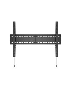 Hisense - Universal Fixed Wallmount SD MAX 800x600